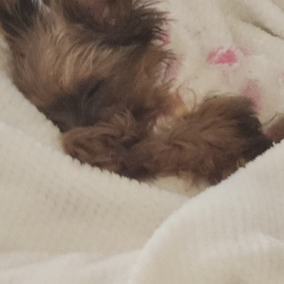 Priceless Package - Picture 2 of 12